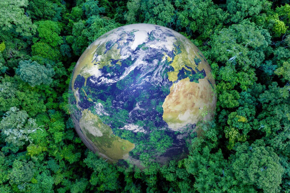 Globe terrestre formé par une canopée forestière