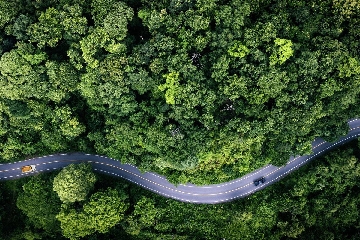 Route traversant une forêt dense, vue aérienne
